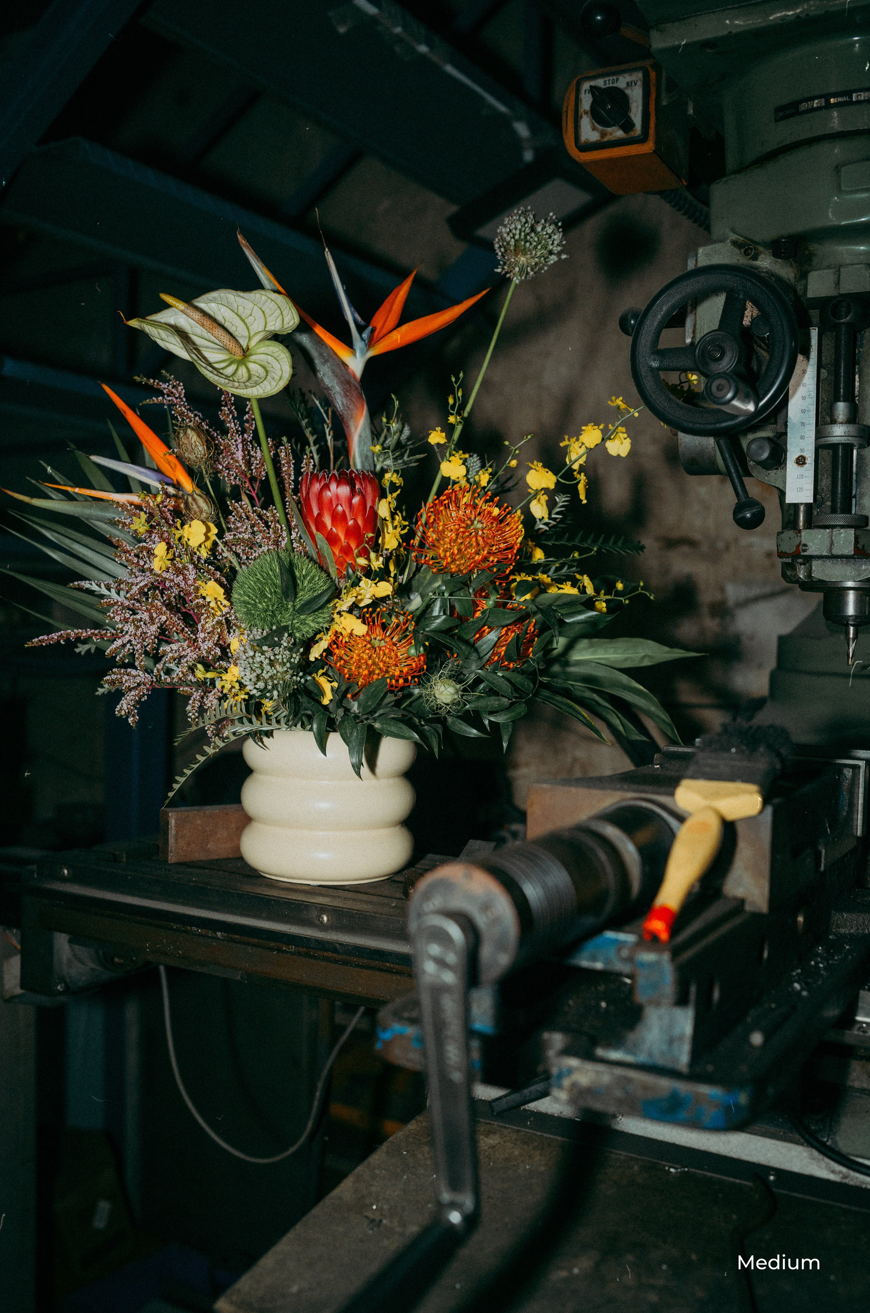 Tropics in a Vase